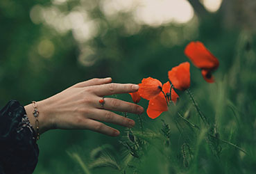 Konimen Yönetim Danışmanlığı Blog