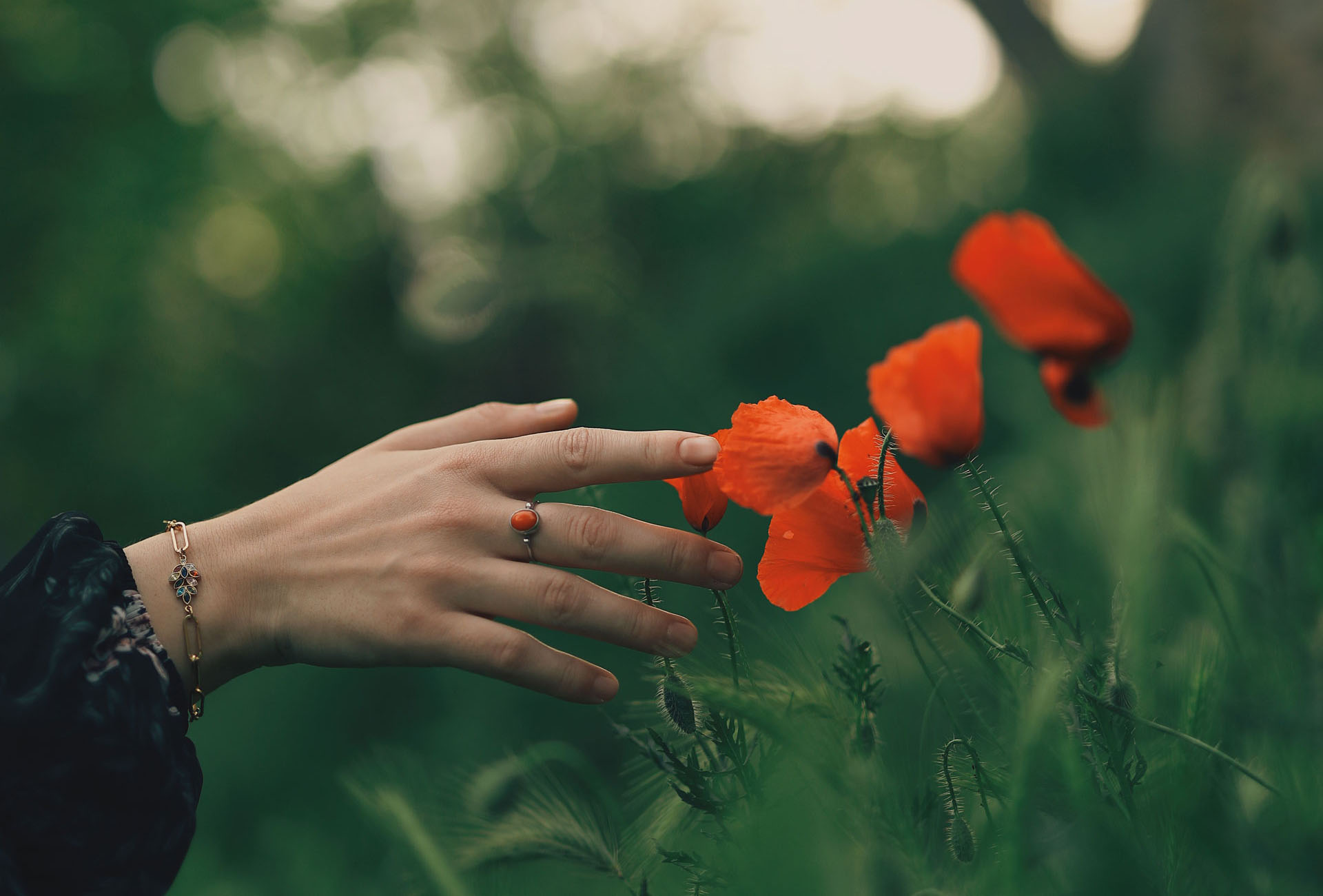Konimen Yönetim Danışmanlığı Vaka Örnekleri